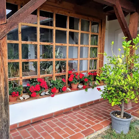 Horvath Денешдиаш